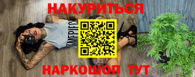 Альфа ПВП Кандалакша