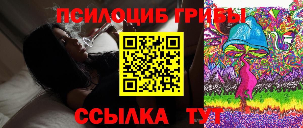 Псилоцибиновые грибы ЛСД Краснознаменск